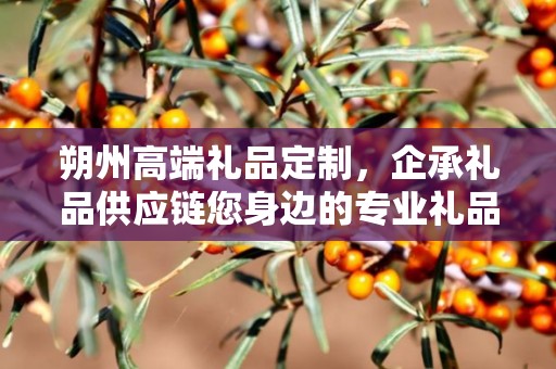 朔州高端礼品定制，企承礼品供应链您身边的专业礼品定制公司