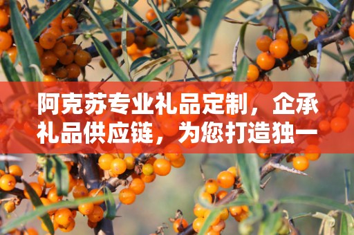 阿克苏专业礼品定制，企承礼品供应链，为您打造独一无二的礼品体验