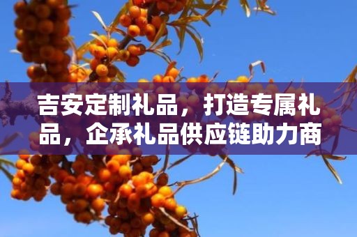 吉安定制礼品，打造专属礼品，企承礼品供应链助力商务之选